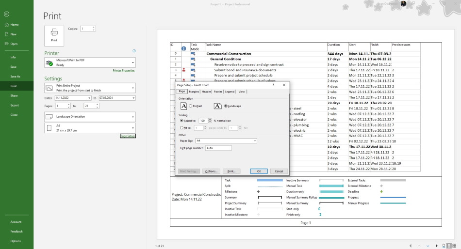 Setting up pages in MS Project
