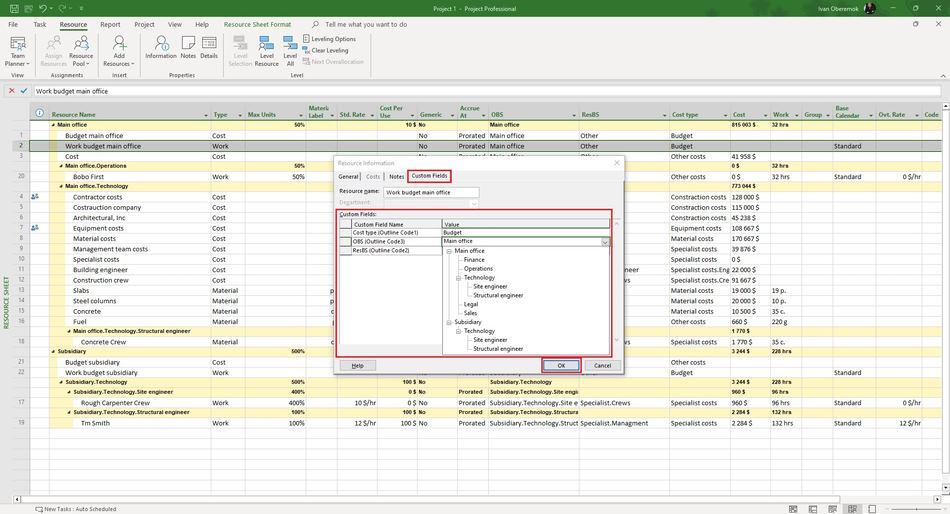 Description costum column of budget resources in MS Project Pro