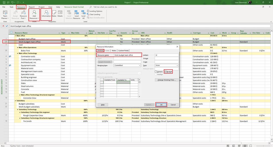 Create budget resources in MS Project Pro