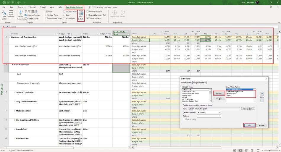 Create budget resources in MS Project Pro