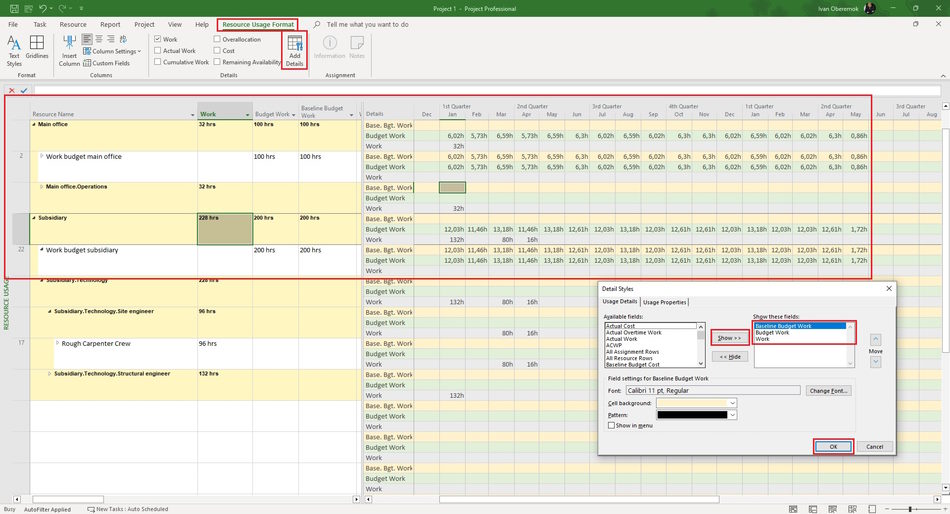 Planning budget work resources in the resource usage view in MS Project Pro