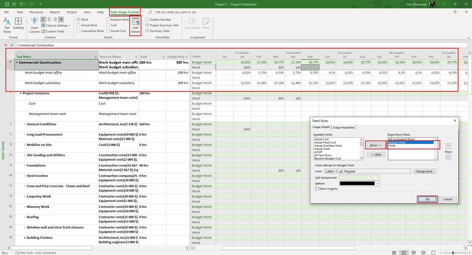 Budget planning in MS Project Pro