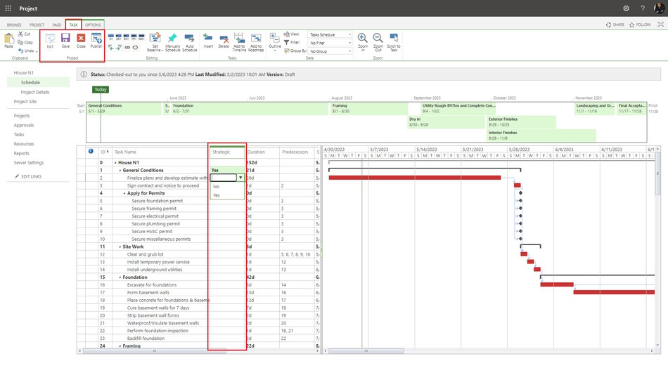 Using the strategic custom field in MS Project Server