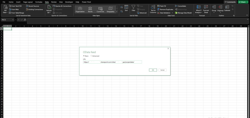 Setting up a Microsoft Excel connection to Microsoft Project Server data stap 2