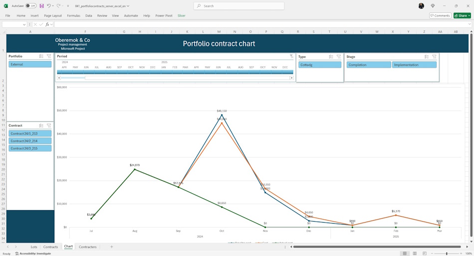 Chart project portfolio contractors in MS Excel dashboard