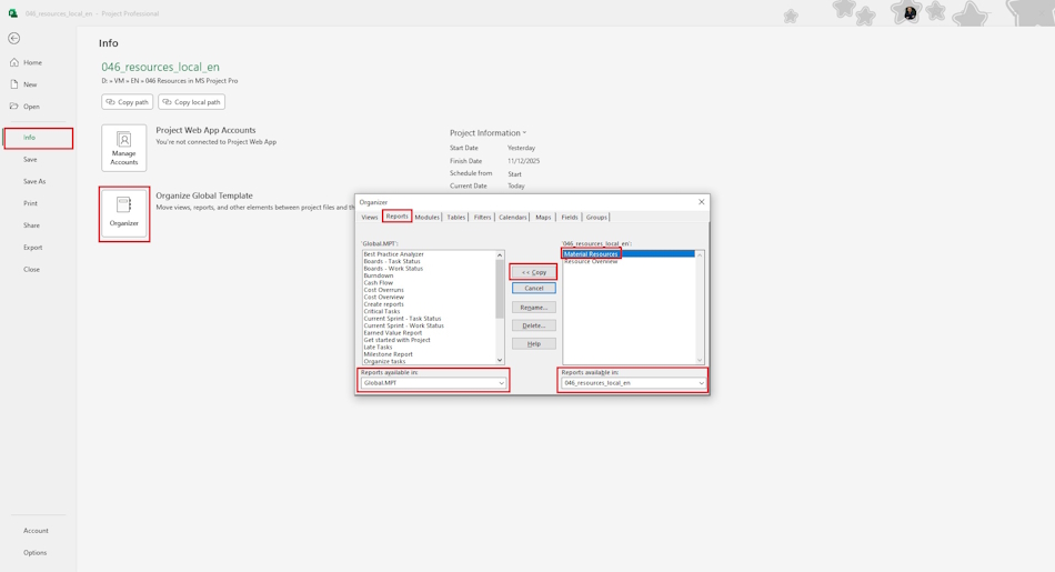 Customize “Material Resources” report in MS Project Pro