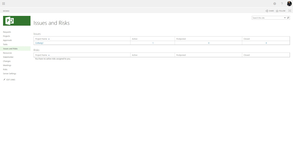 Tracking project issues in MS Project Server