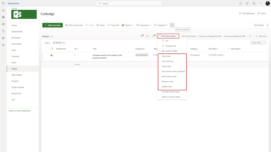 Add and edit views describing problems in MS Project Server