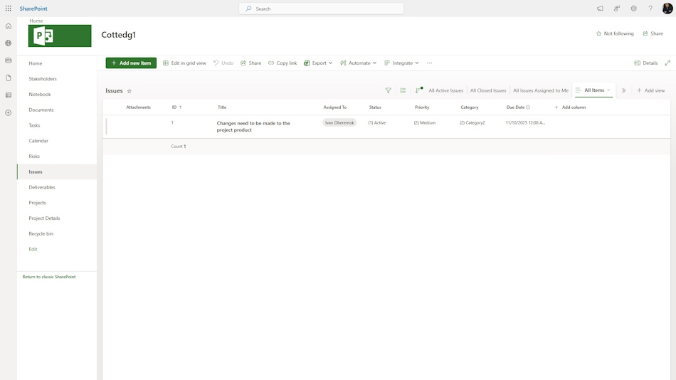 Project issue register in MS Project Server