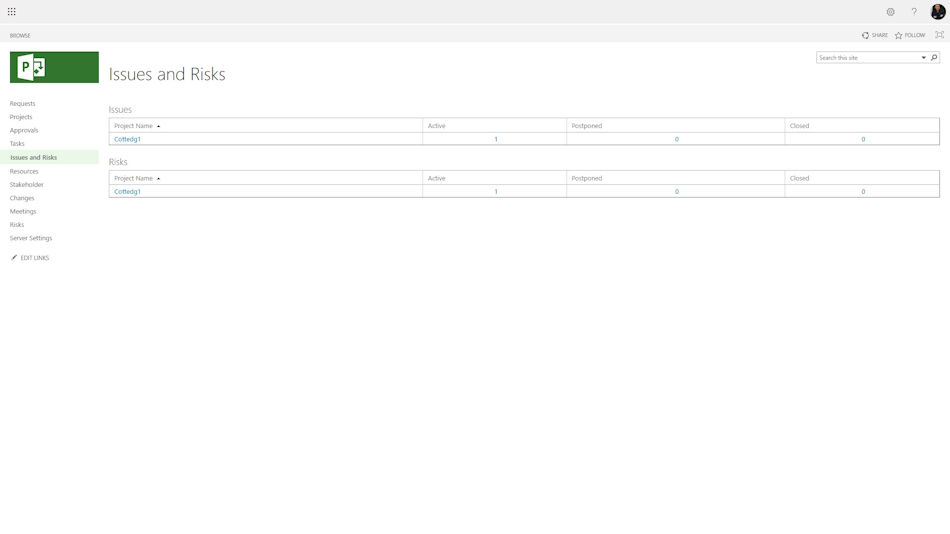 Project risks register in MS Project Server