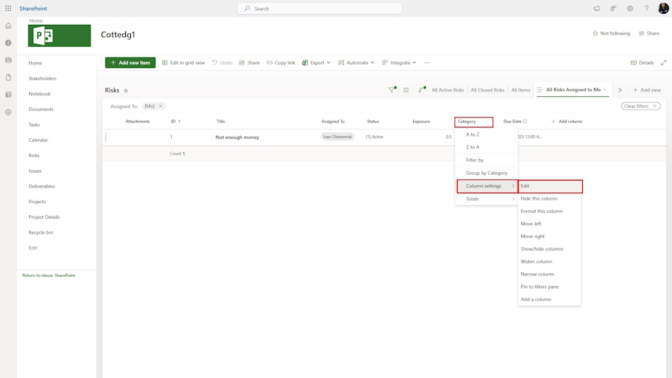 Add and edit fields describing risks in MS Project Server