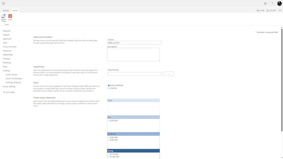 Description of strategy drivers in MS Project Server