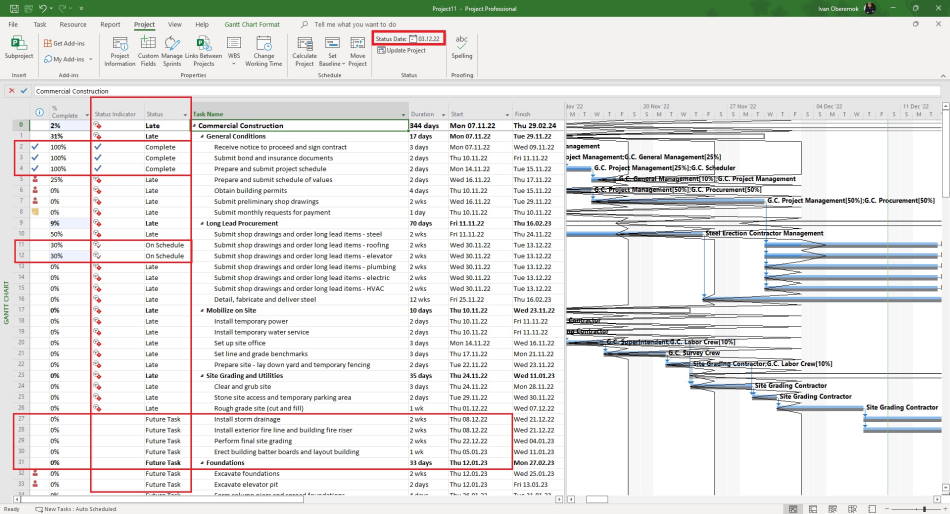 Showing status tasks in MS Project Pro