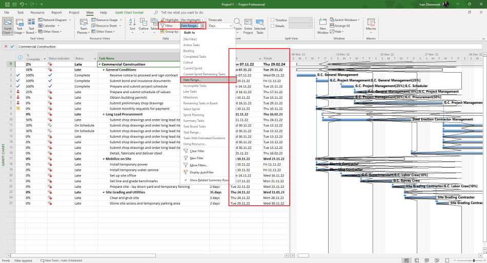 Сurrent period tasks in MS Project Pro