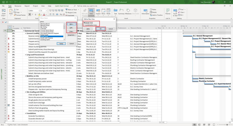 Adding the view in MS Project Pro