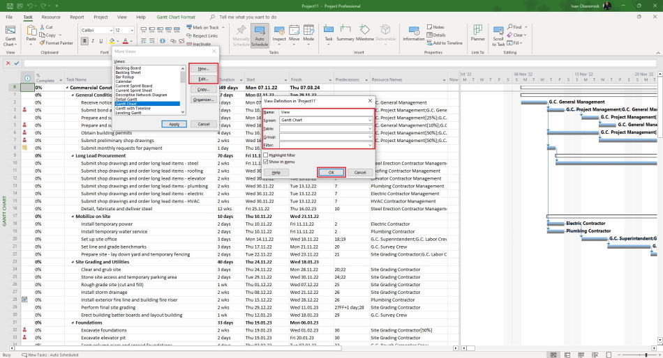 Editing the view in MS Project Pro