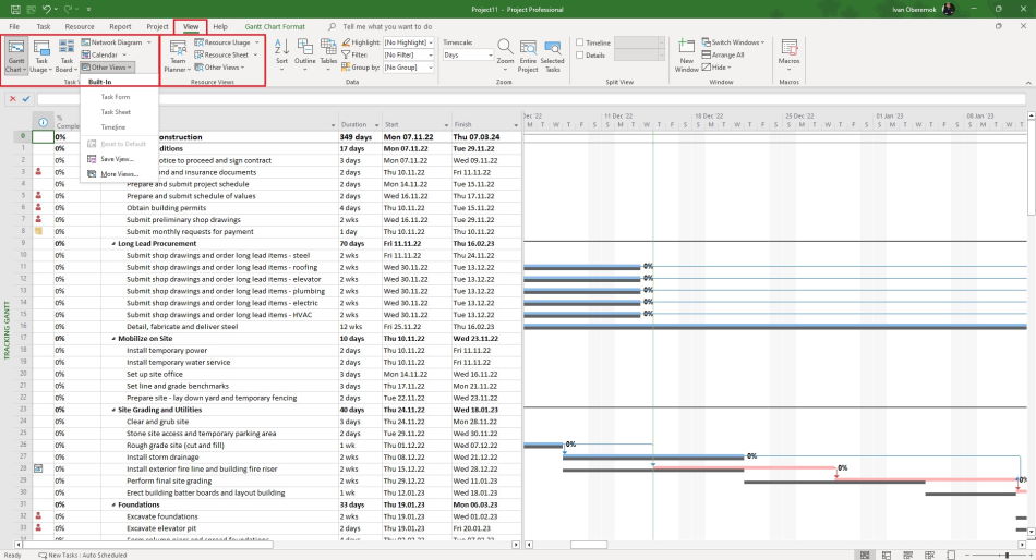 Using the views in MS Project
