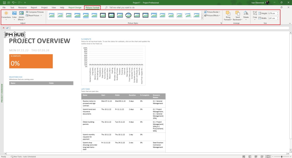 Adding images to the report in MS Project Pro