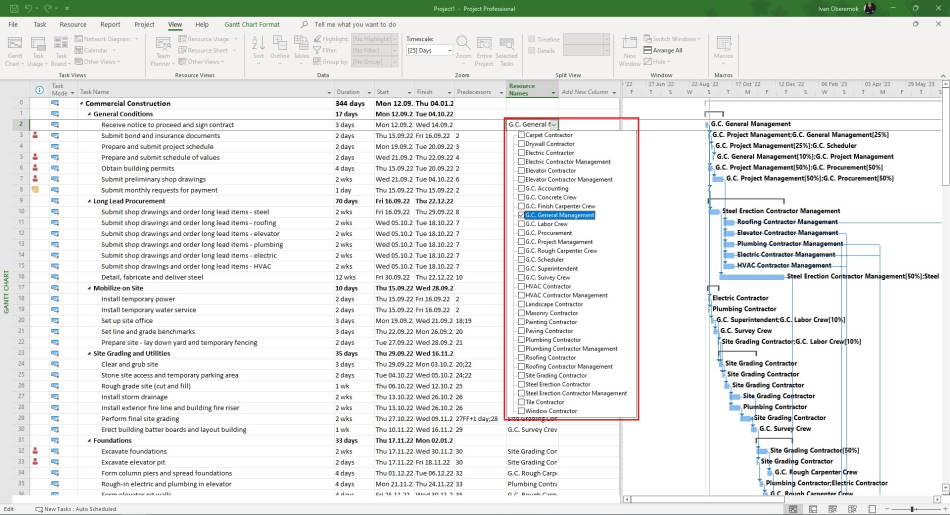 Assigning resources in table in MS Project
