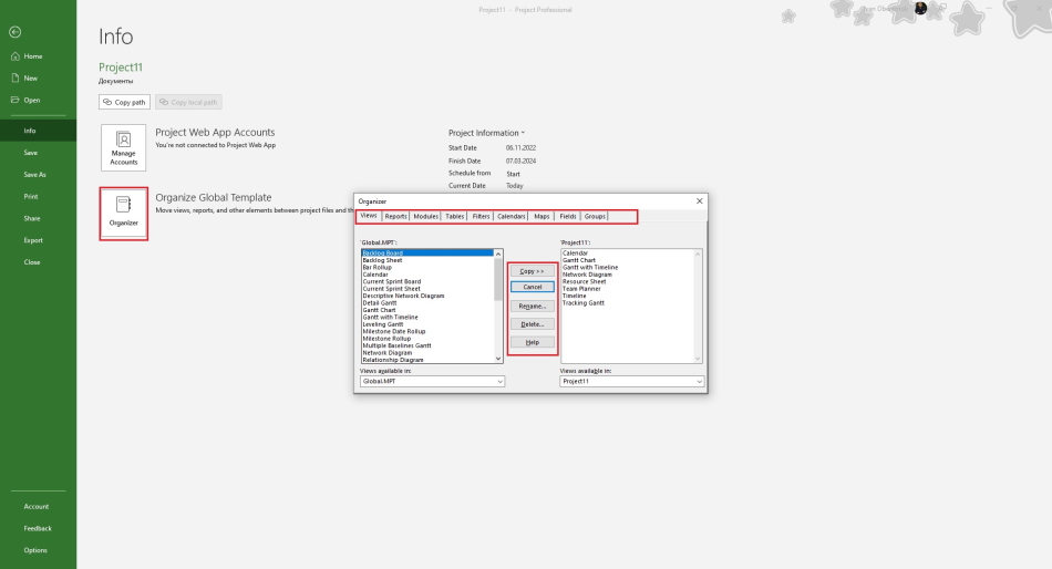 Using an organizer in a file in MS Project Pro