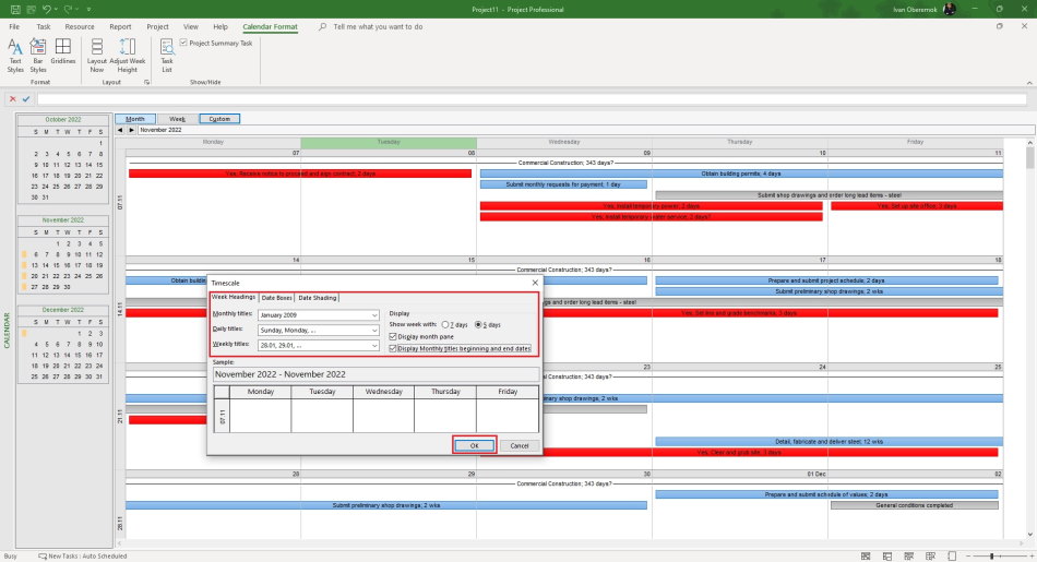 Customizing the timescale style in calendar view in MS Project Pro