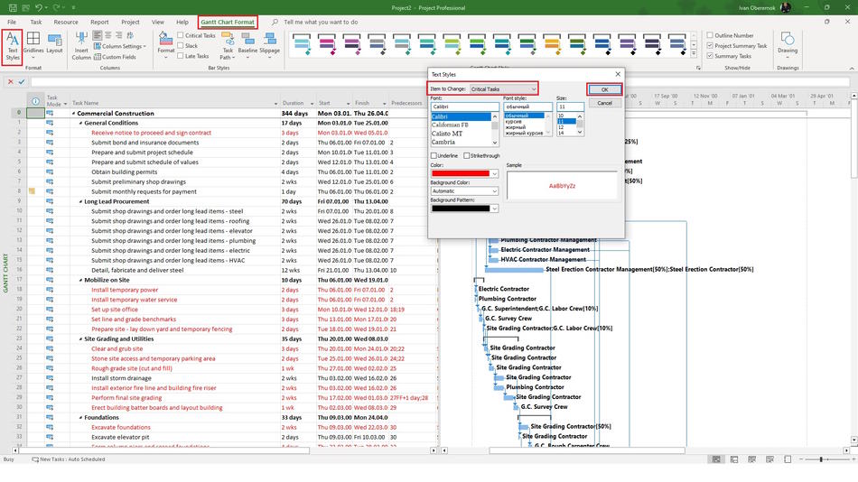 Customizing font style for different data in MS Project Pro