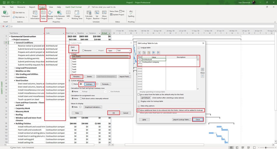 Setting project lots in MS Project Pro