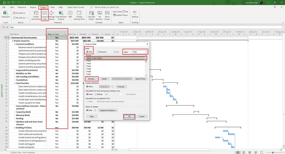 Creating column "Make-or-Buy" in MS Project Pro