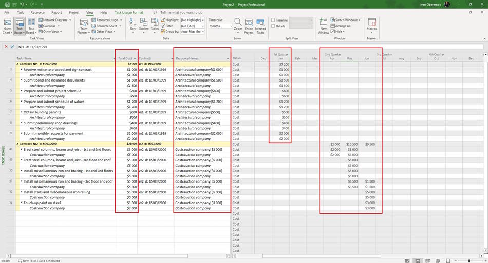 Detailed description of contractors costs in MS Project Pro