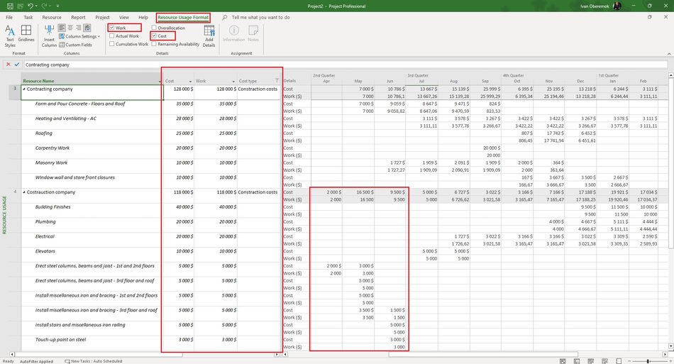 Detailed description of contractors costs in the resource usage view in MS Project Pro