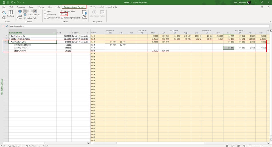 Detailed description of contractors costs in the resource usage view in MS Project Pro