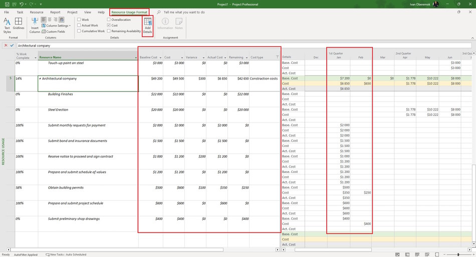 Set active costs in the resource usage view in MS Project Pro