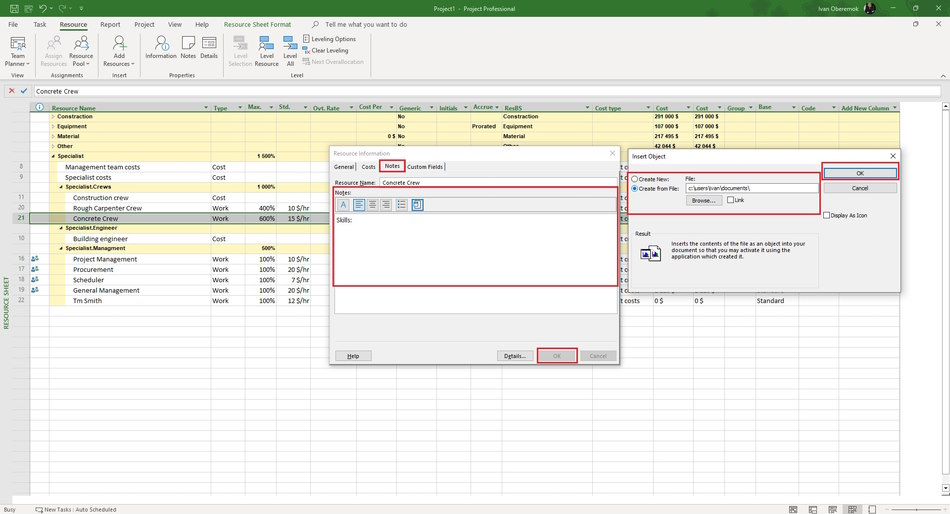 Description note of specialist in MS Project Pro