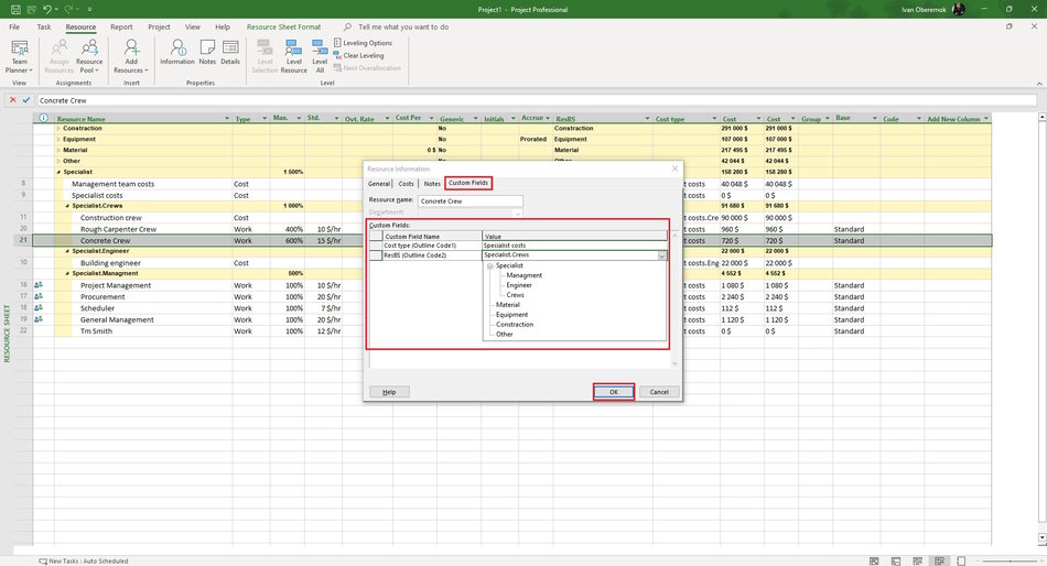 Description custom field of specialist in MS Project Pro